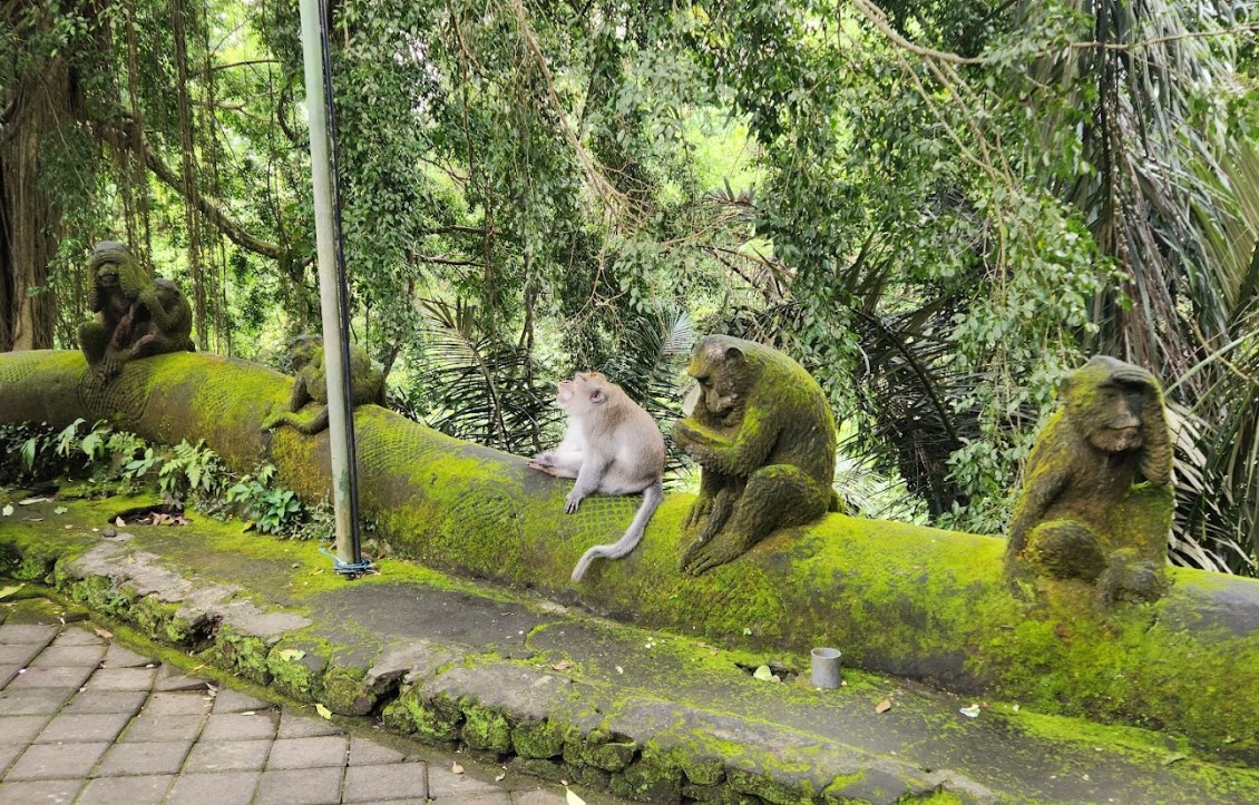 Wisata Monkey forest Ubud Bali